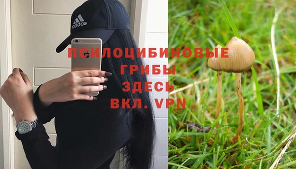 твердый Бугульма