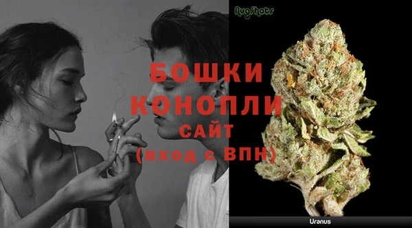 дурь Верея