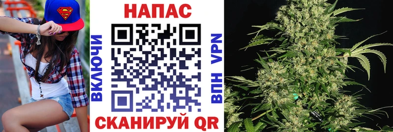 Шишки марихуана планчик  где можно купить   Курск 